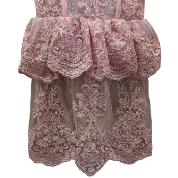 NWT V. Chapman Pink Lace Poppy Corset Peplum Mini Dress Size 0 - Picture 5 of 11